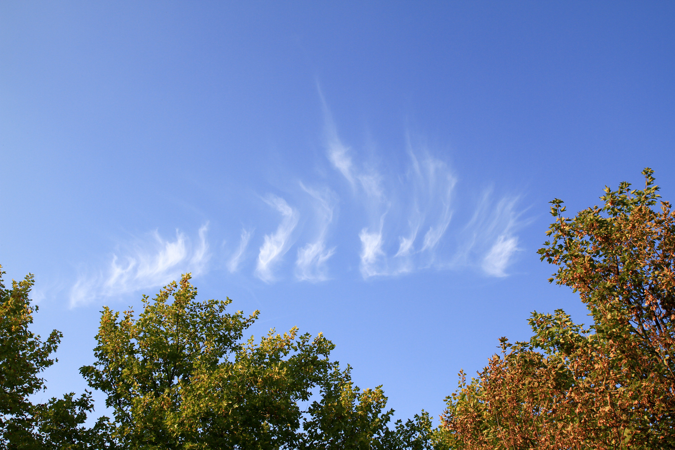 Himmel mit Wolken